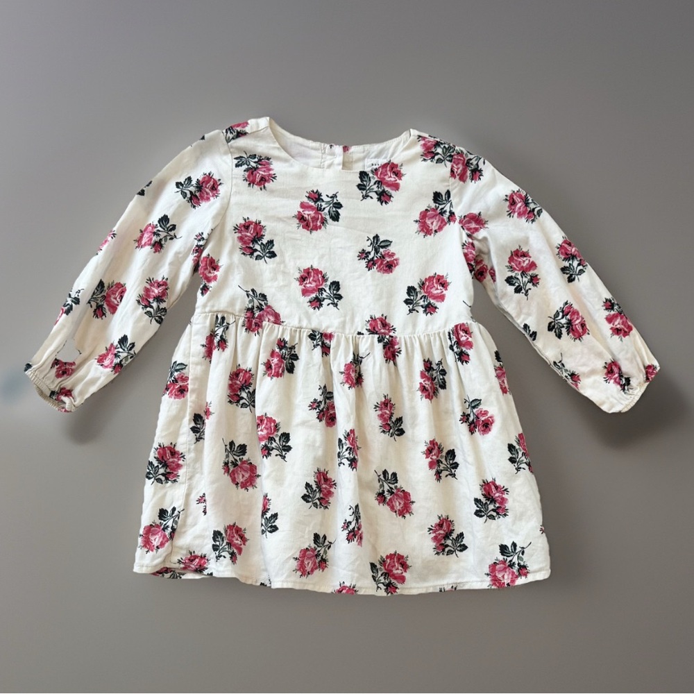 Baby Gap Sz 2 Yrs Floral Roses Dress Long-Sleeve Lined 2T
